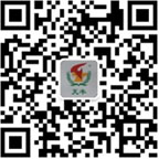 掃一掃，更精彩